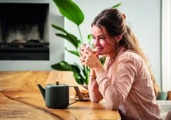 Bredemeijer Duet Design Boston Theepot 1,1 Liter Grijs -Koffie Drank Winkel bredemeijer duet design boston theepot 1 1 liter grijs 3